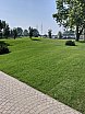 Kisv&aacute;rda park