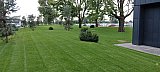 Kisv&aacute;rda park