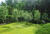 Small Hill Garden