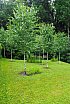 Small Hill Garden
