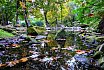 Szentendre public garden