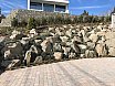 Stone wall garden