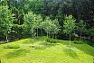 Small Hill Garden