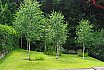 Small Hill Garden